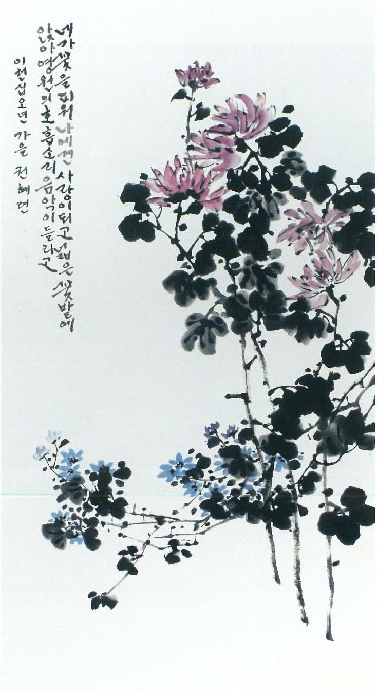 국화