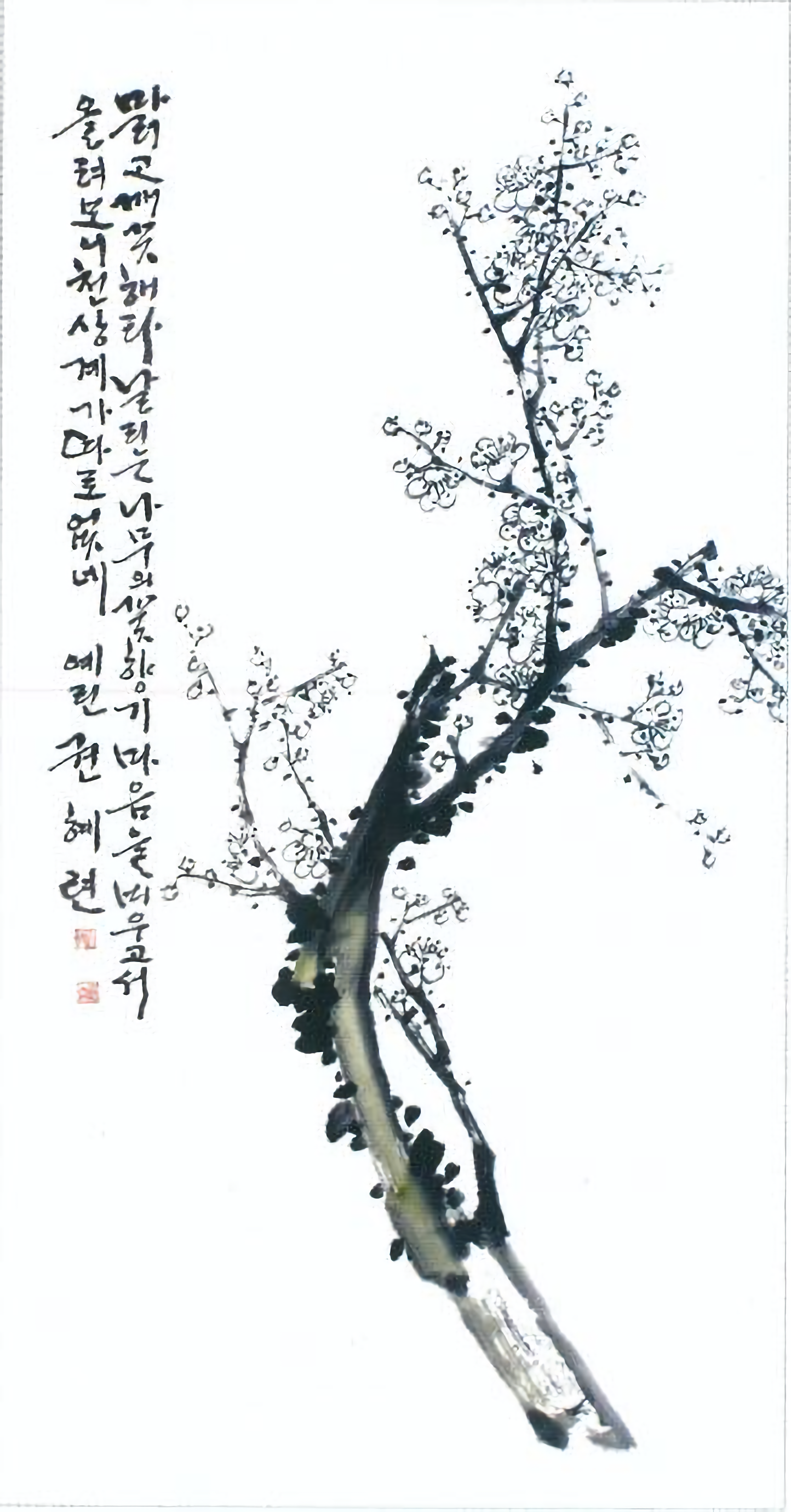 매화